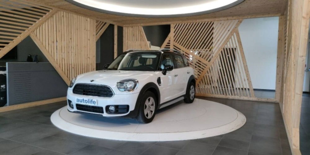 MINI Mini Countryman usata a Catanzaro (13)