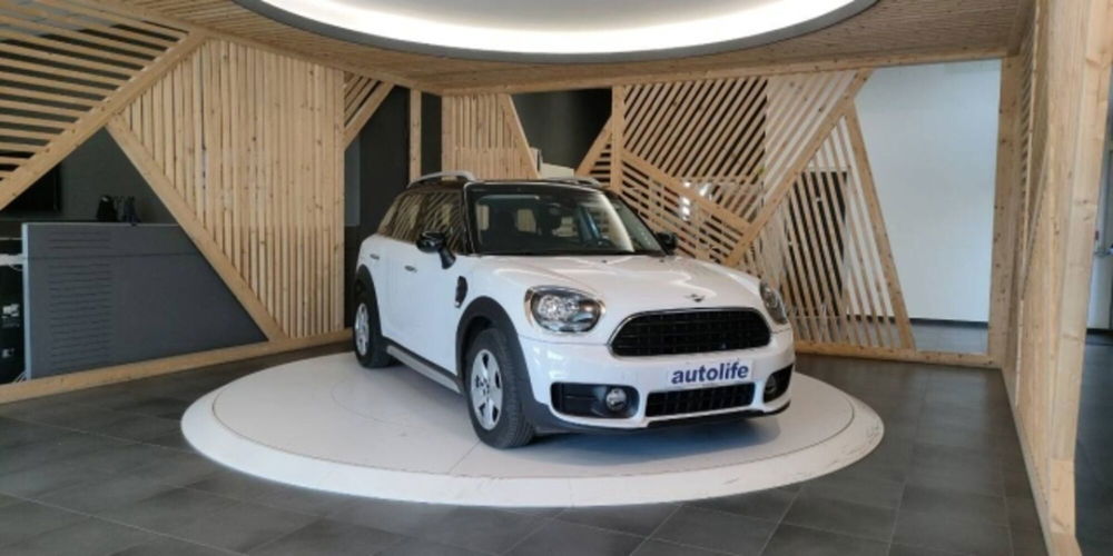 MINI Mini Countryman usata a Catanzaro (3)