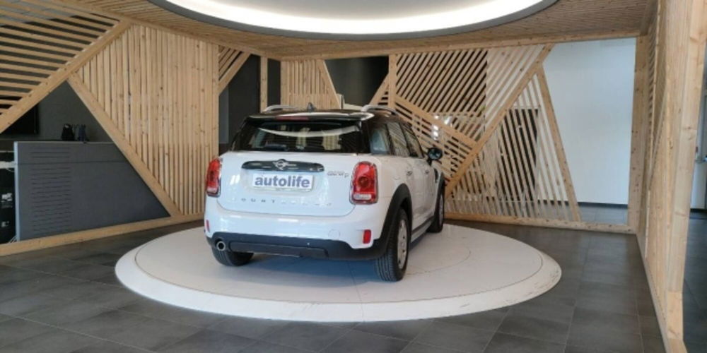 MINI Mini Countryman usata a Catanzaro (7)