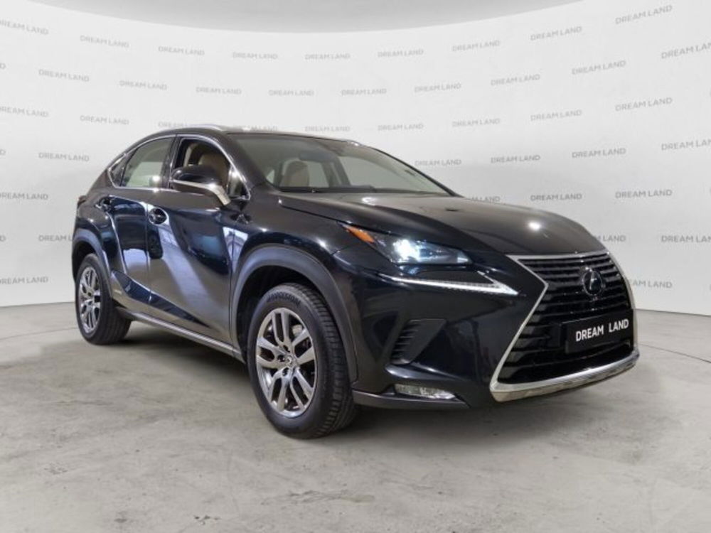 Lexus NX usata a Livorno (3)