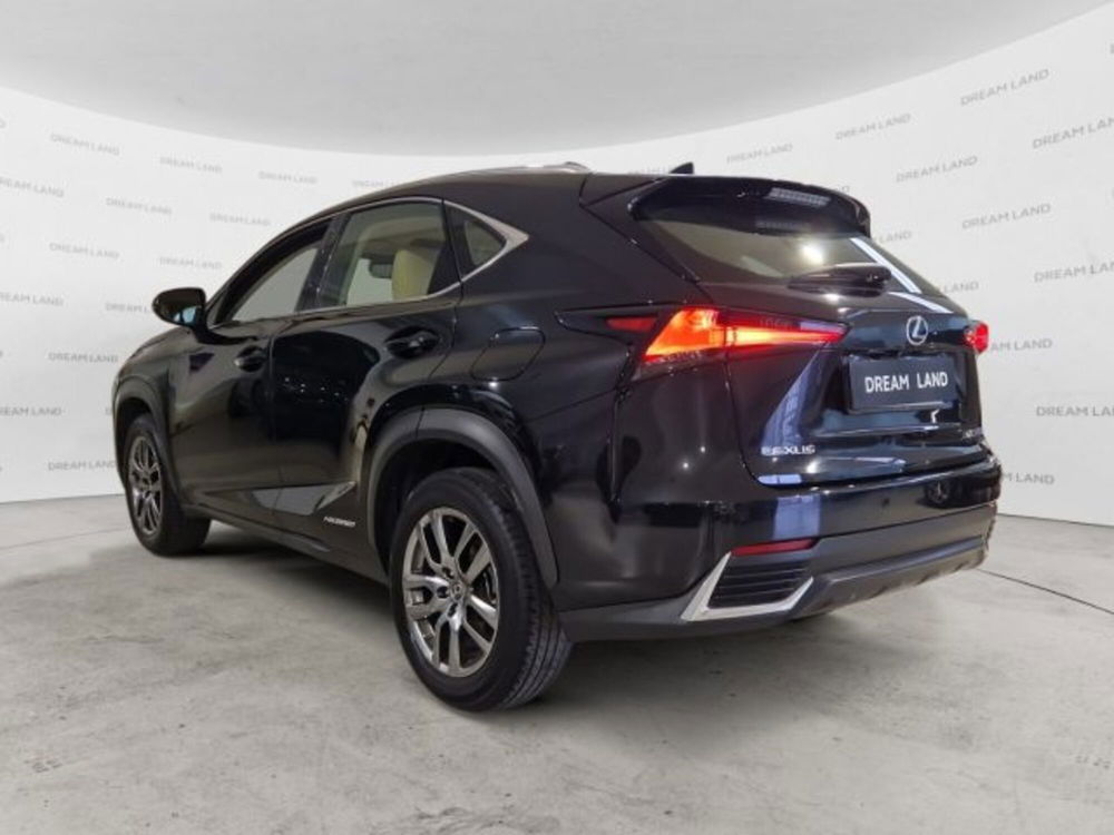 Lexus NX usata a Livorno (4)