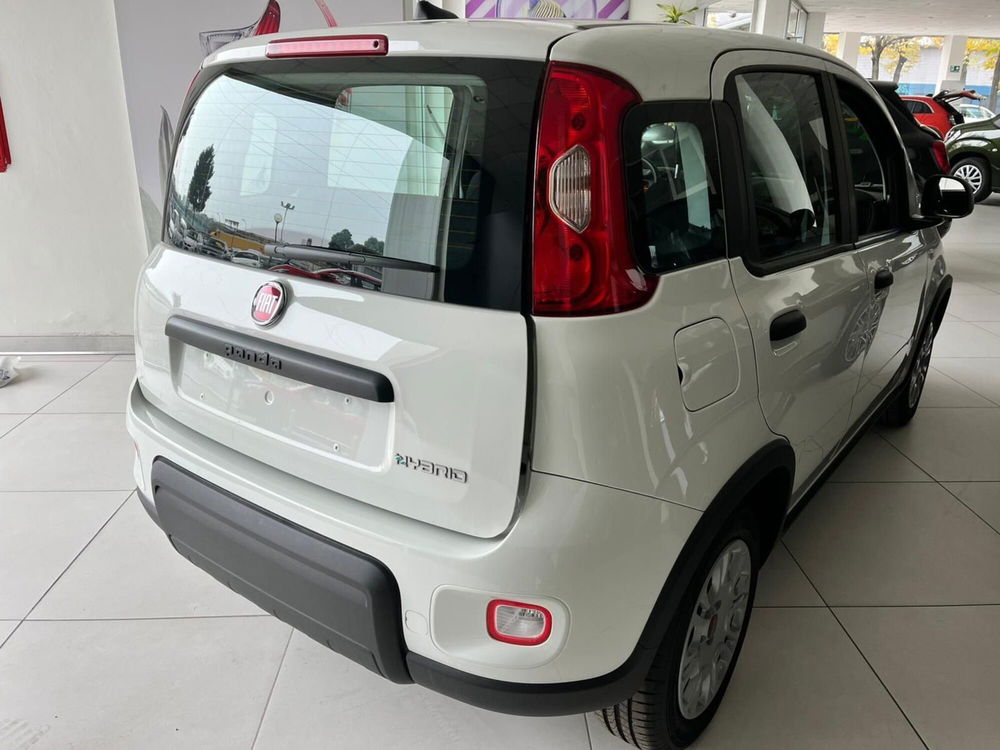 Fiat Panda Cross nuova a Milano (7)