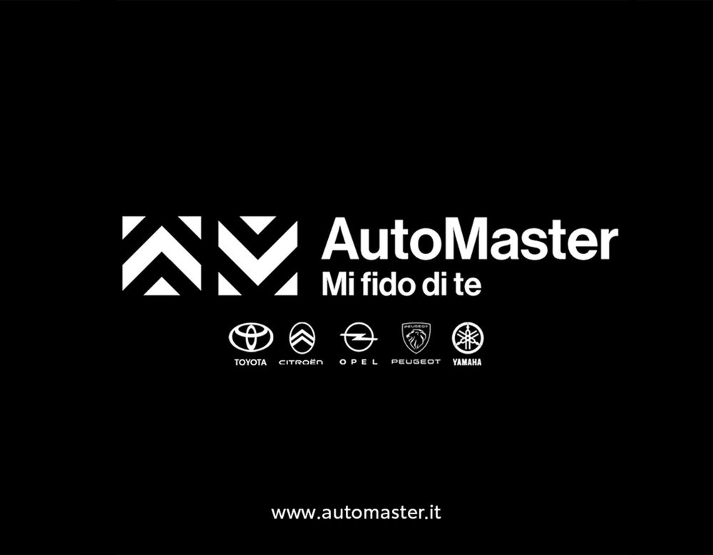 MINI Mini Countryman usata a Ferrara (18)