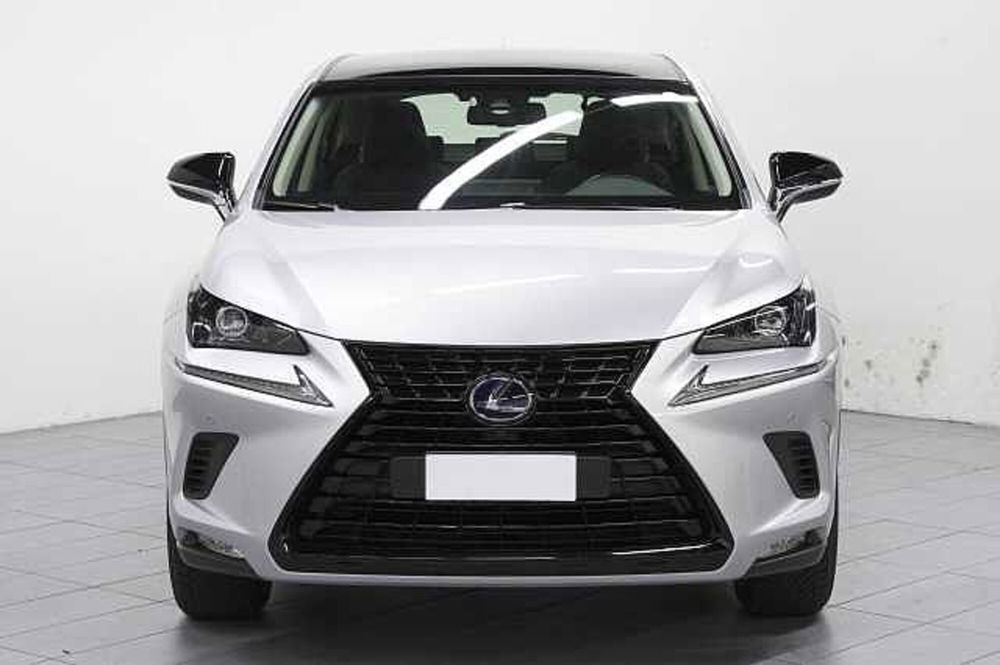 Lexus NX usata a Como (2)