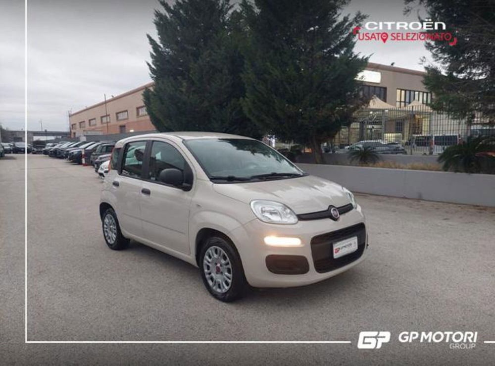 Fiat Panda usata a Caserta (2)