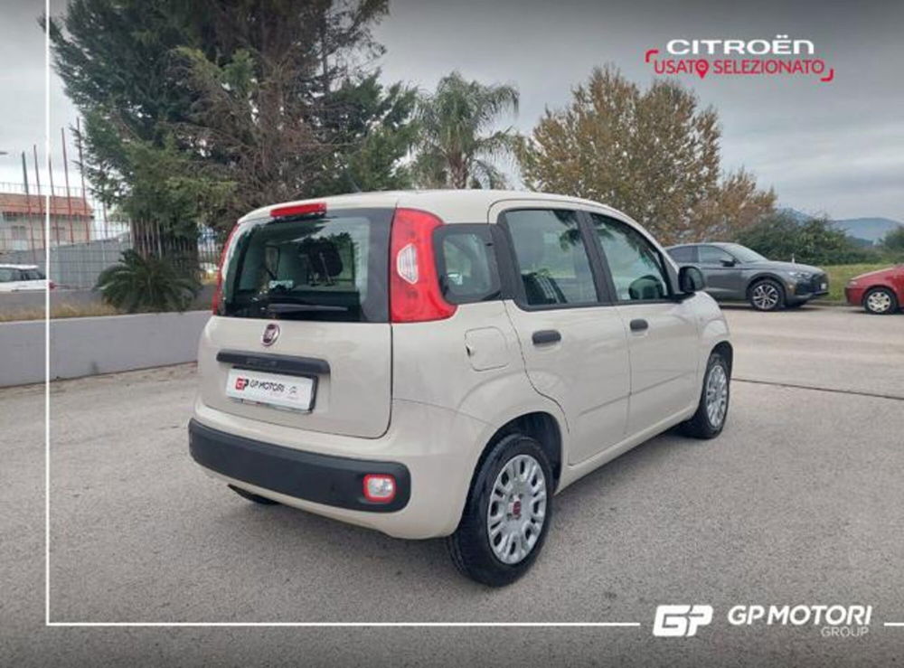 Fiat Panda usata a Caserta (4)