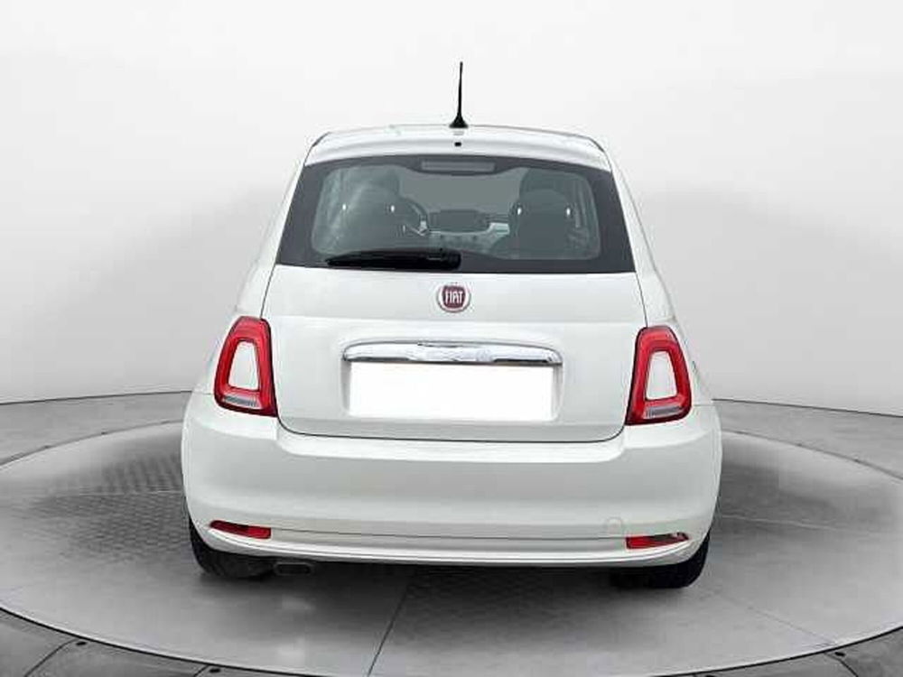 Fiat 500 usata a Siena (4)