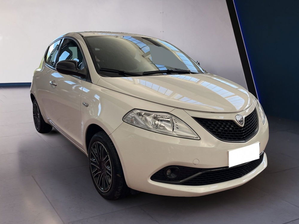 Lancia Ypsilon usata a Torino (2)