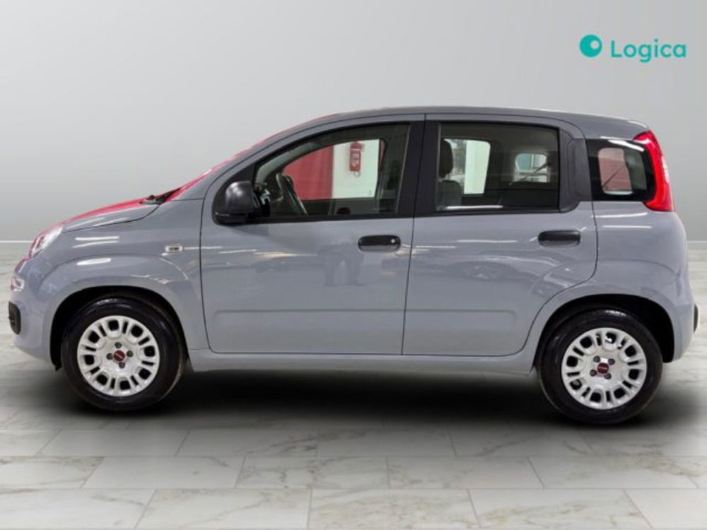 Fiat Panda usata a Torino