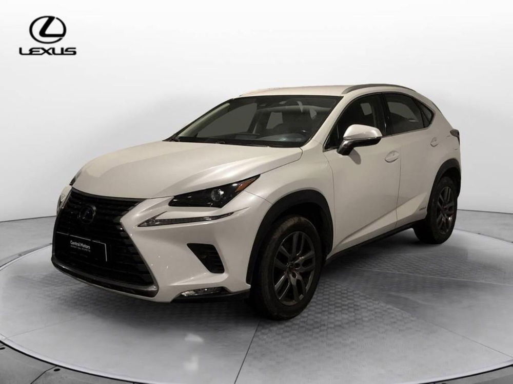 Lexus NX usata a Torino