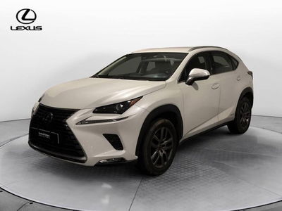 Lexus NX Hybrid 4WD Premium del 2021 usata a Torino