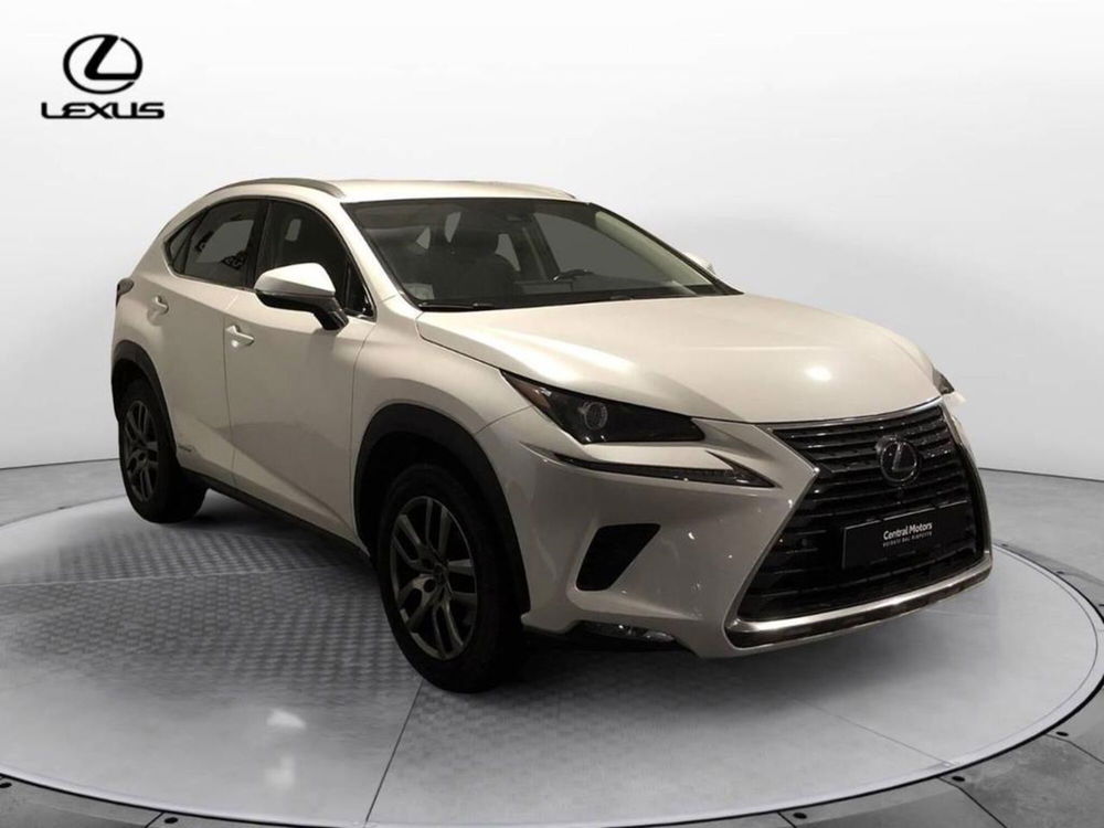 Lexus NX usata a Torino (3)