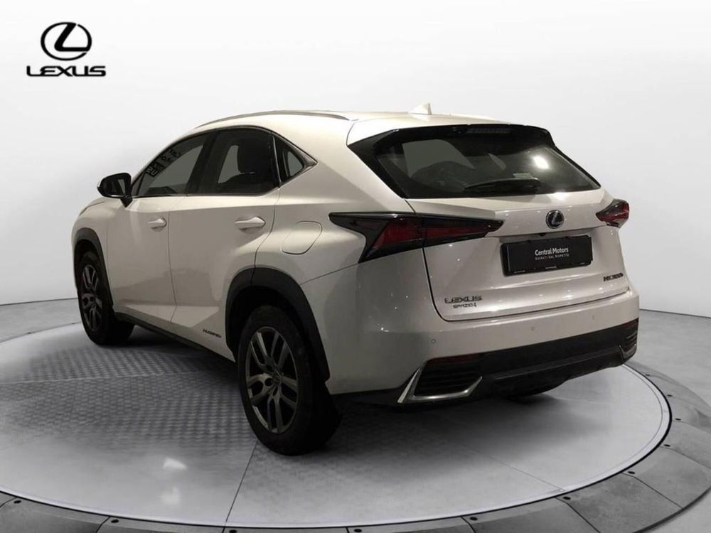 Lexus NX usata a Torino (6)