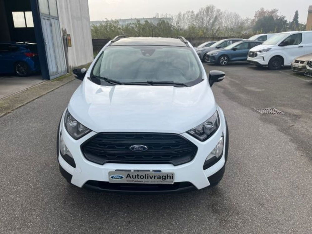 Ford EcoSport usata a Lodi (2)