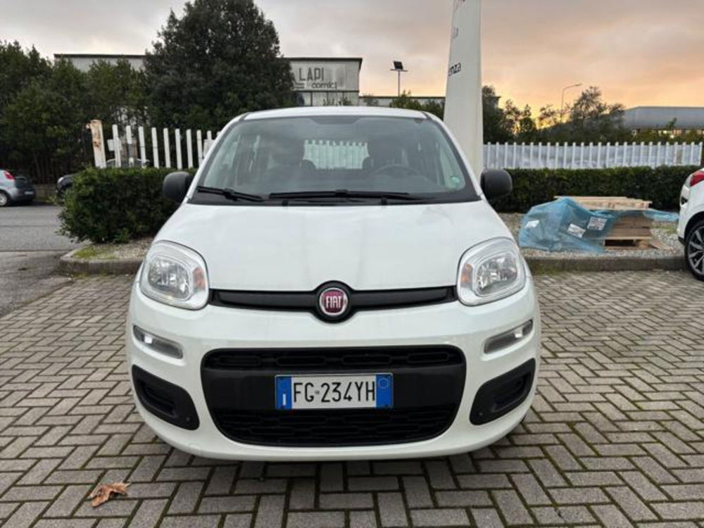 Fiat Panda usata a Pisa