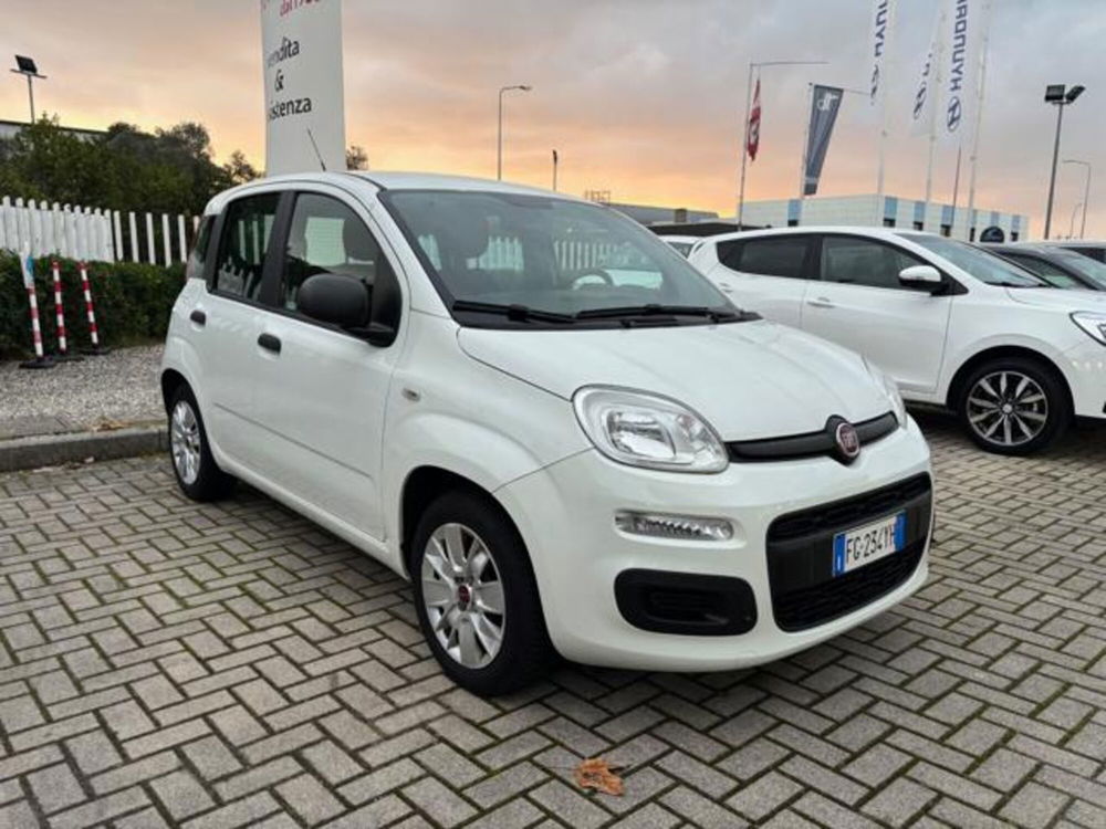 Fiat Panda usata a Pisa (2)