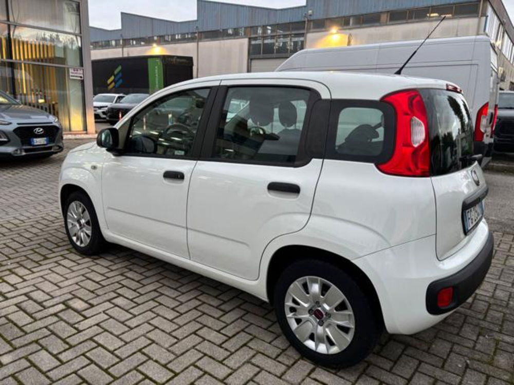 Fiat Panda usata a Pisa (4)