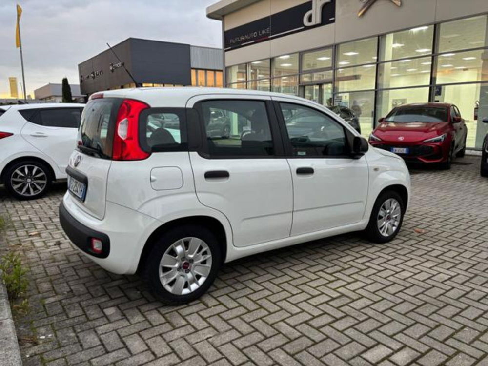 Fiat Panda usata a Pisa (5)