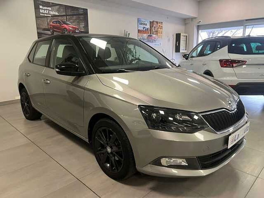 Skoda Fabia usata a Ravenna (5)