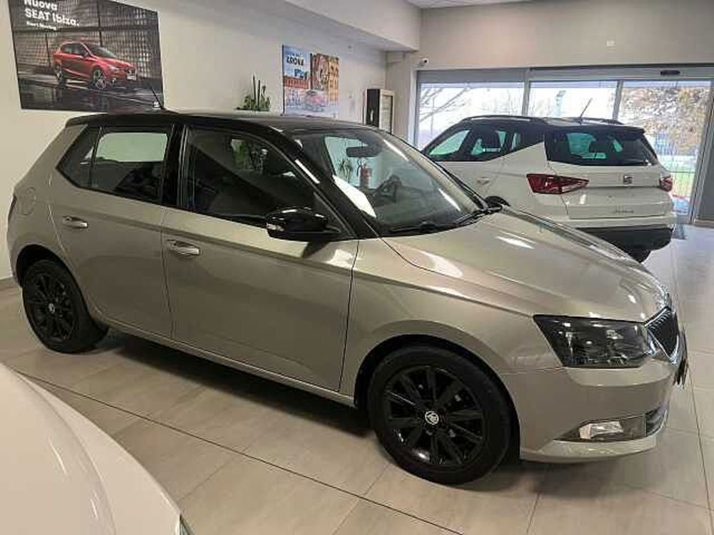 Skoda Fabia usata a Ravenna (7)