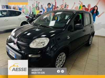 Fiat Panda 1.0 firefly hybrid s&amp;s 70cv 5p.ti del 2023 usata a Capaccio