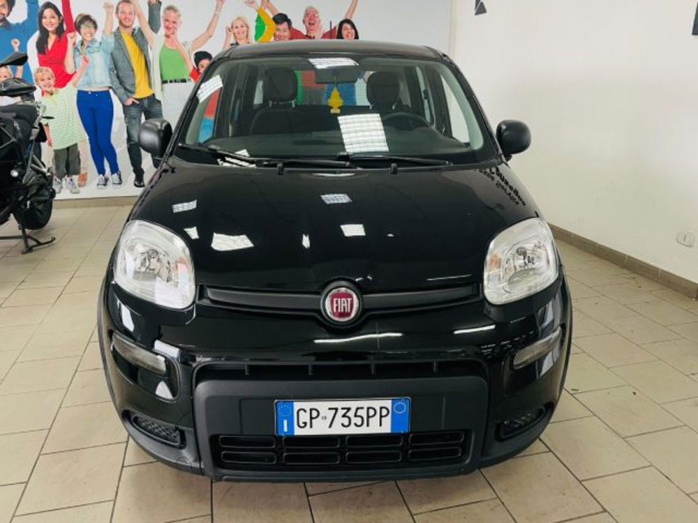 Fiat Panda usata a Salerno (2)