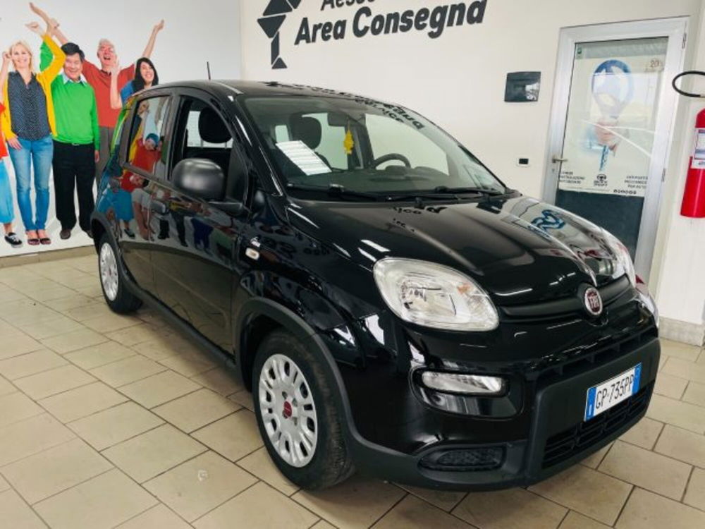 Fiat Panda usata a Salerno (3)