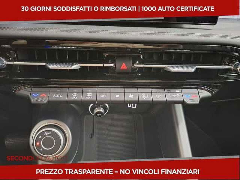 Alfa Romeo Tonale usata a Chieti (12)