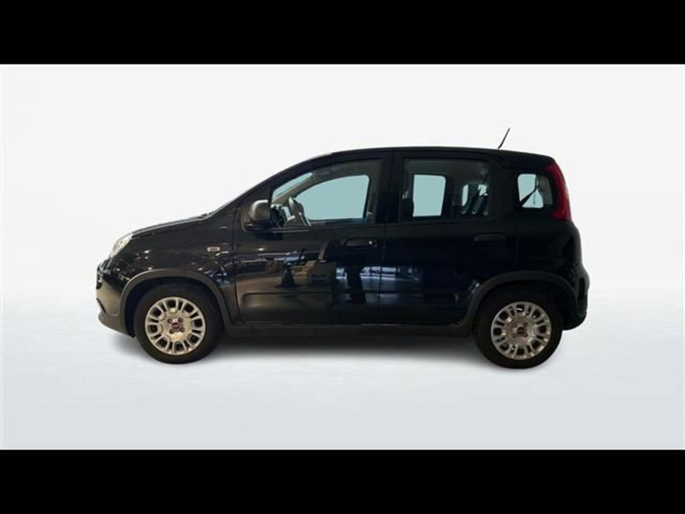 Fiat Panda Cross usata a Firenze (2)