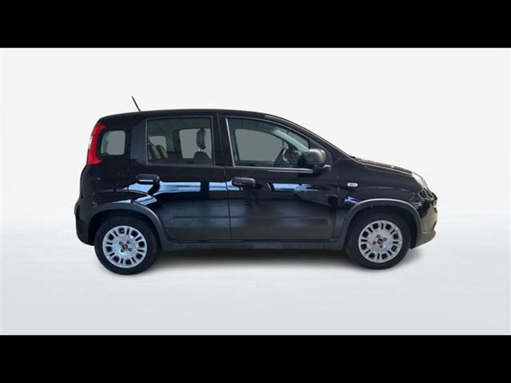 Fiat Panda Cross usata a Firenze (4)