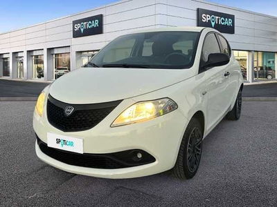 Lancia Ypsilon 1.2 69 CV 5 porte GPL Ecochic Platinum  del 2019 usata a Ravenna