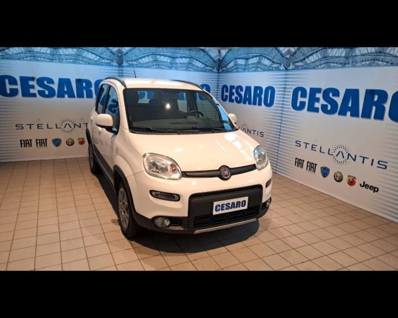 Fiat Panda 0.9 TwinAir Turbo S&amp;S 4x4 Wild del 2016 usata a Pont Saint Martin