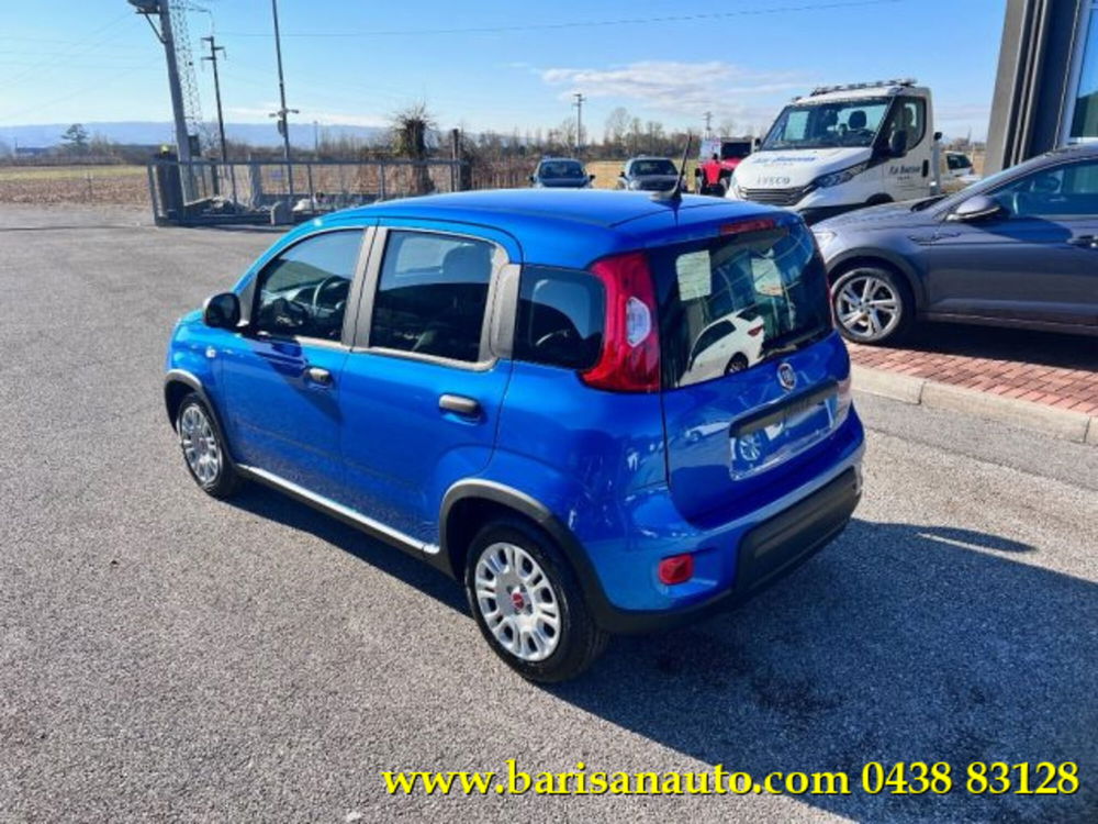 Fiat Panda nuova a Treviso (4)