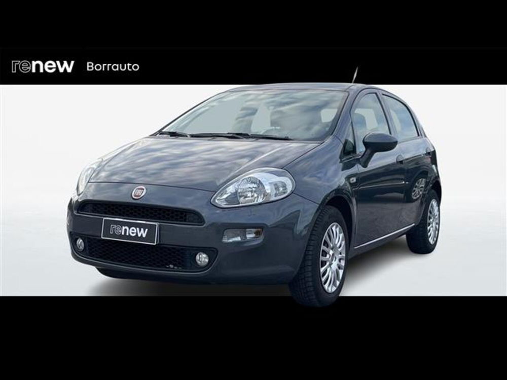 Fiat Punto usata a Treviso