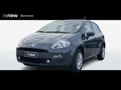 Fiat Punto 1.4 8V 5 porte Easypower Street  del 2017 usata a Montebelluna