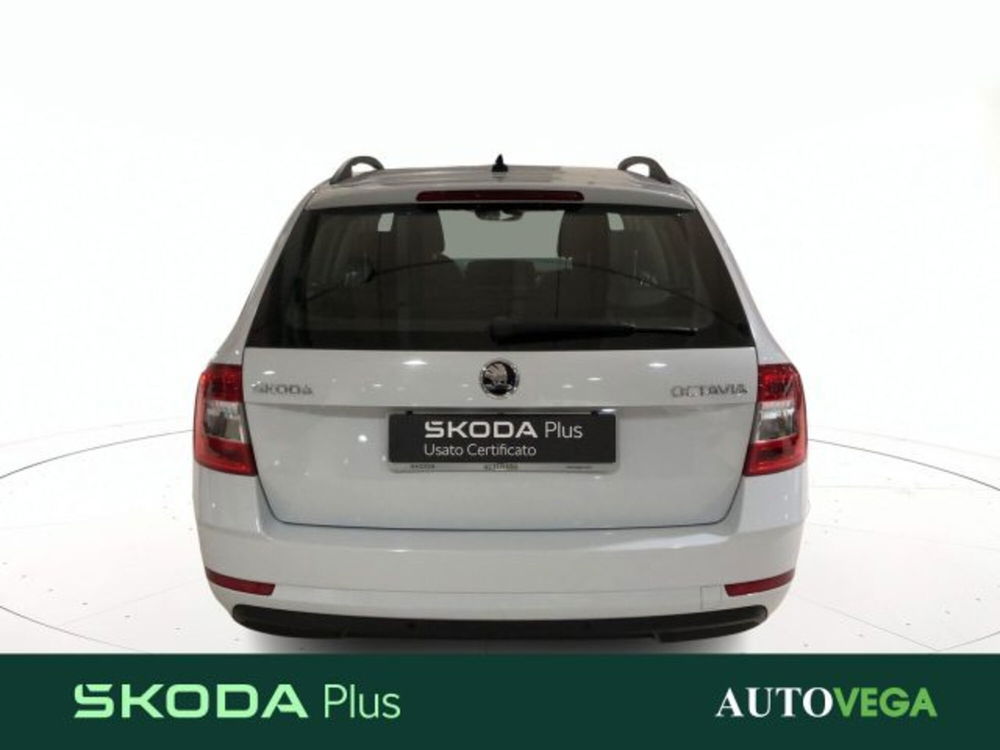 Skoda Octavia Station Wagon usata a Vicenza (3)