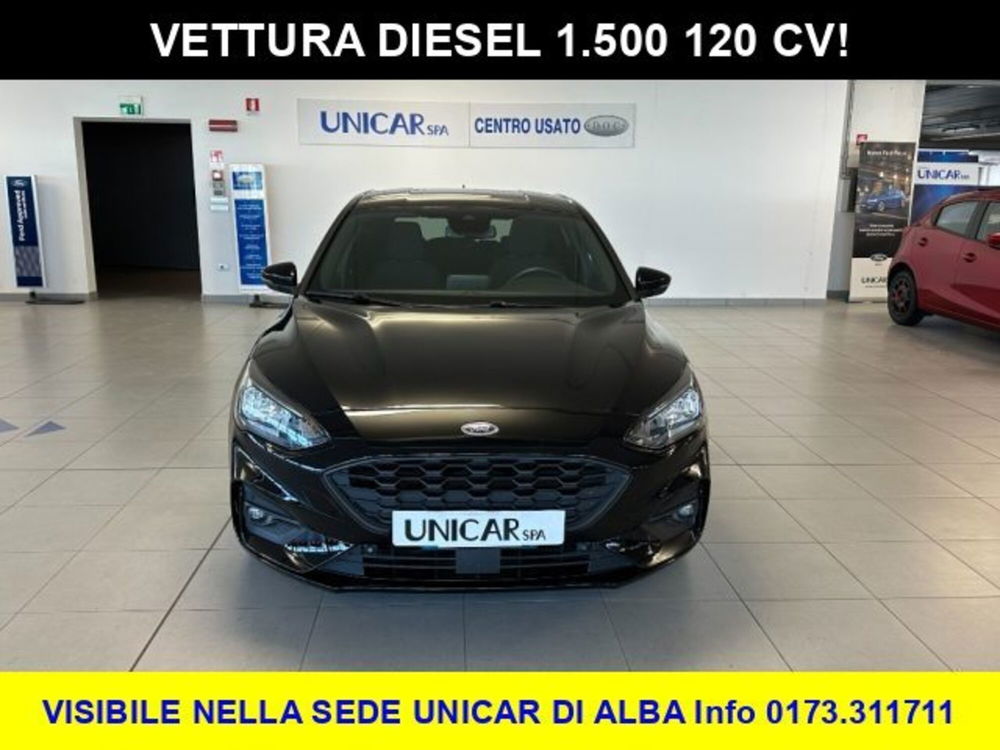 Ford Focus usata a Cuneo (2)