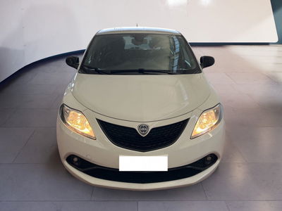 Lancia Ypsilon 1.2 69 CV 5 porte Gold  del 2020 usata a Torino