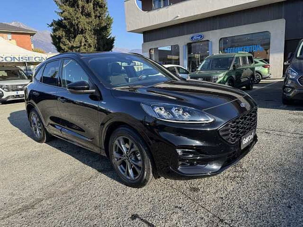 Ford Kuga usata a Torino (2)