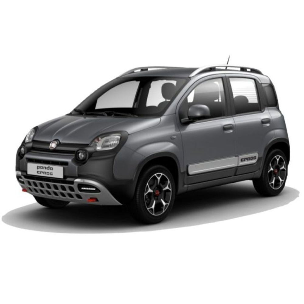 Fiat Panda Cross usata a Messina