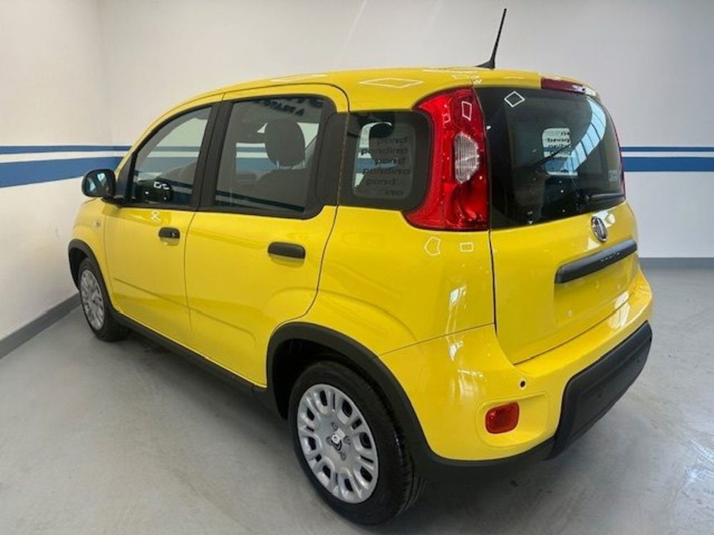 Fiat Panda nuova a Prato (5)