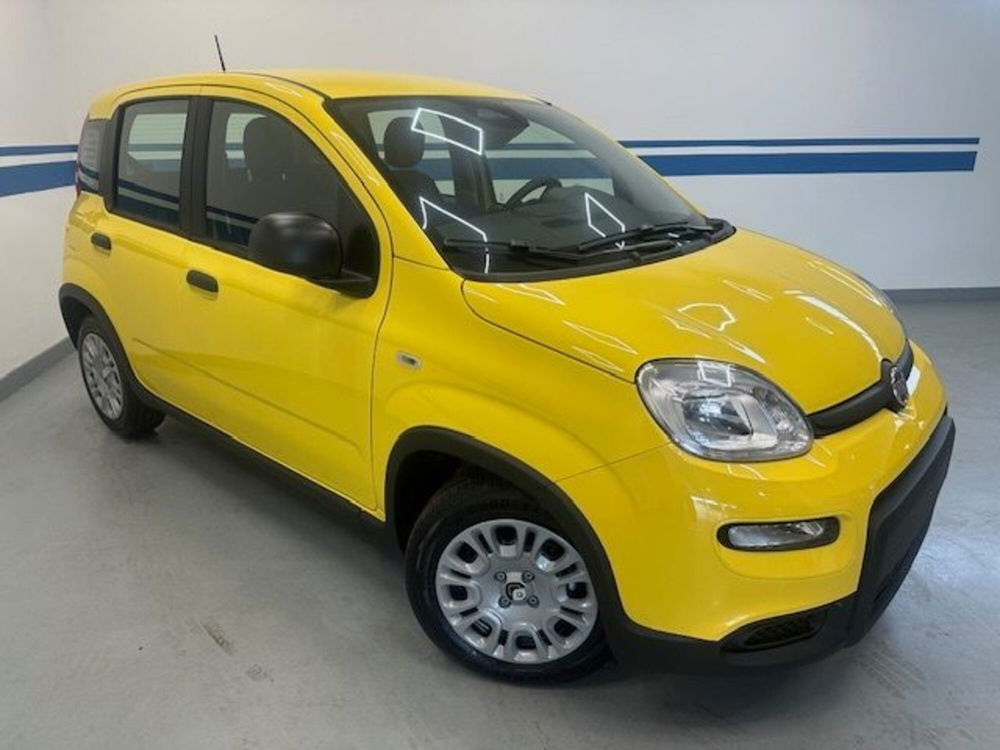 Fiat Panda nuova a Prato (4)