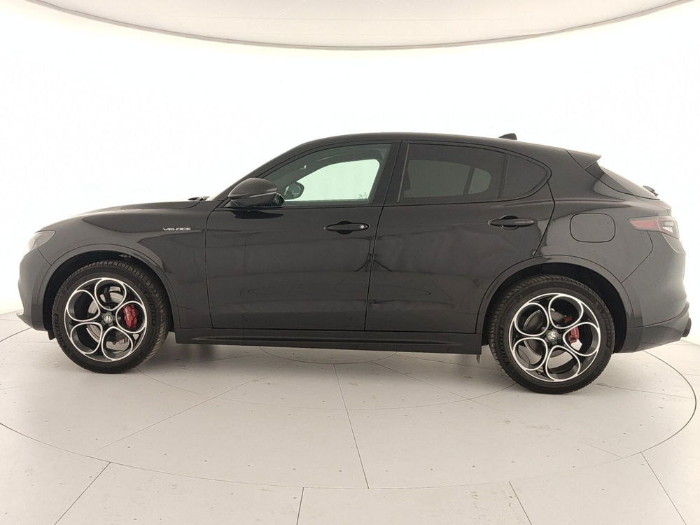 Alfa Romeo Stelvio usata a Caserta (8)