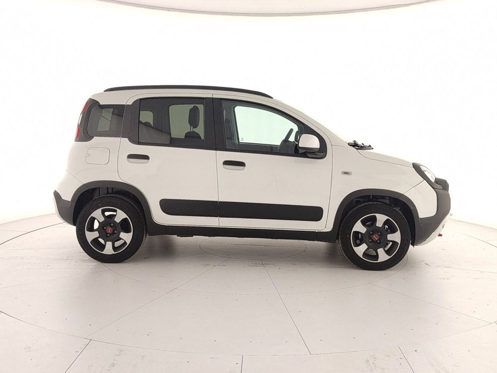 Fiat Panda Cross usata a Caserta (7)