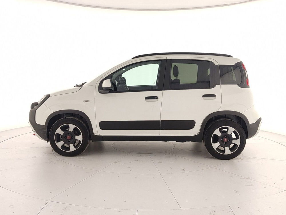 Fiat Panda Cross usata a Caserta (8)