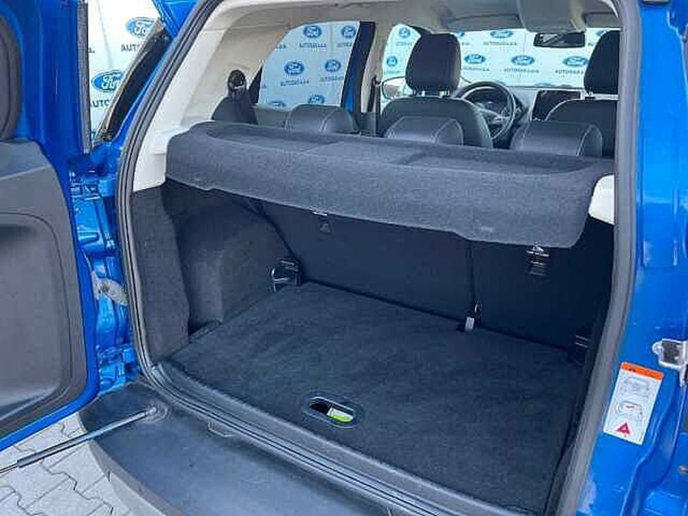 Ford EcoSport usata a Firenze (16)