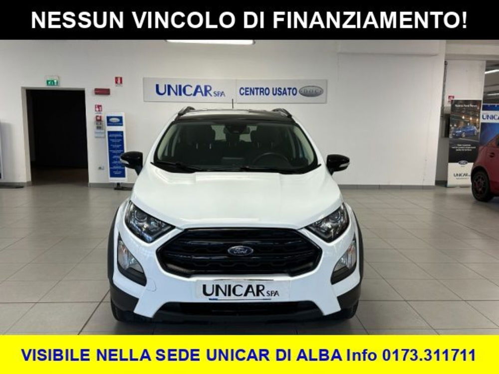 Ford EcoSport usata a Cuneo (2)