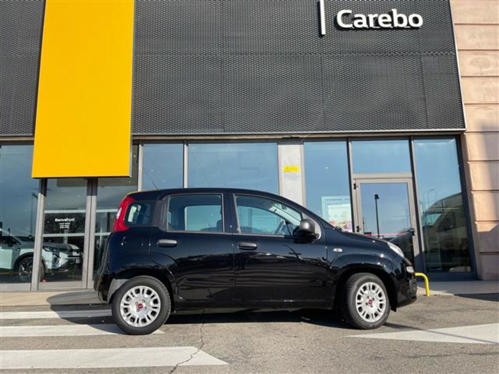 Fiat Panda usata a Parma (2)