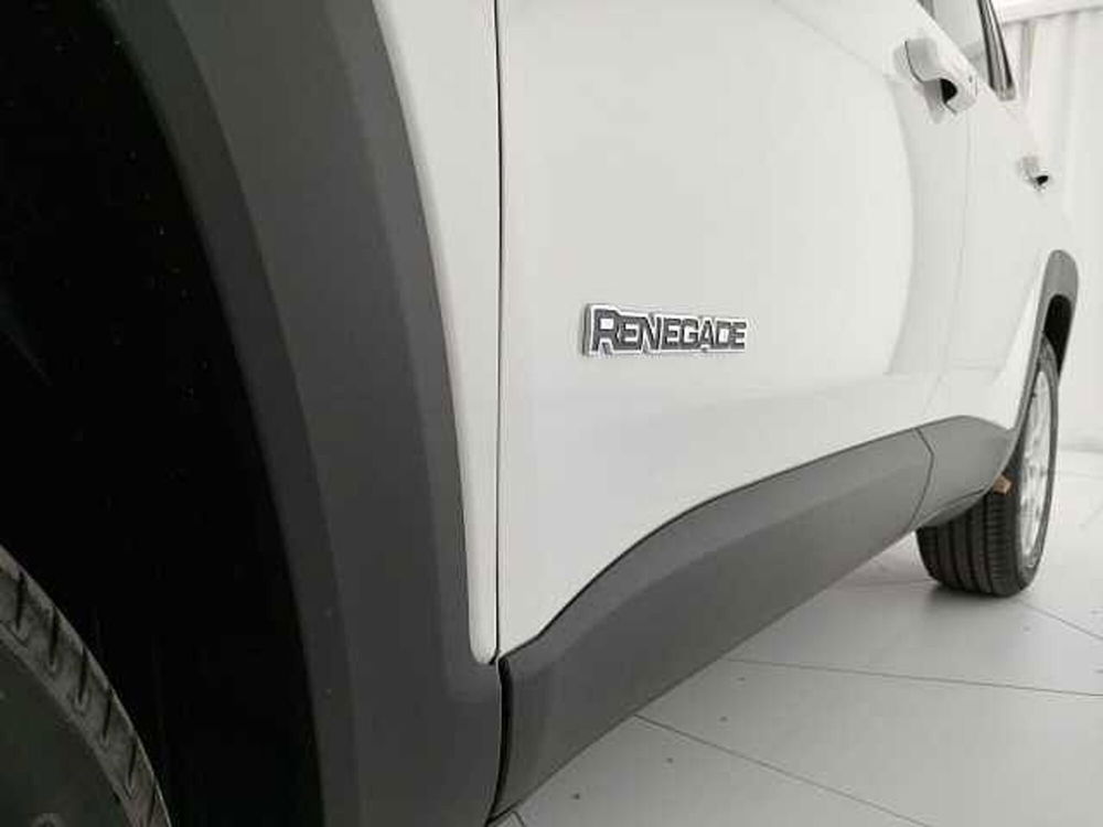 Jeep Renegade usata a Caserta (18)