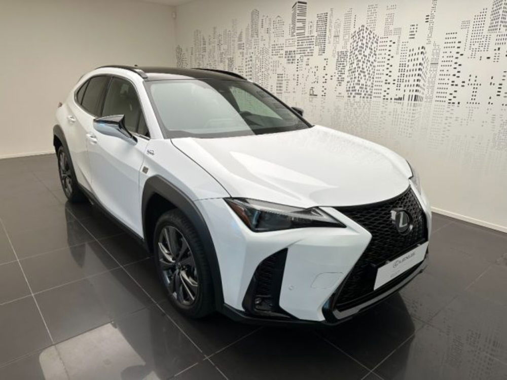 Lexus UX usata a Cuneo (2)